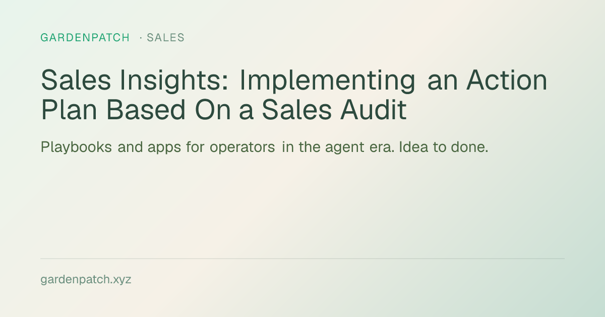 Sales Insights: Implementing an Action Plan Based On a Sales Audit